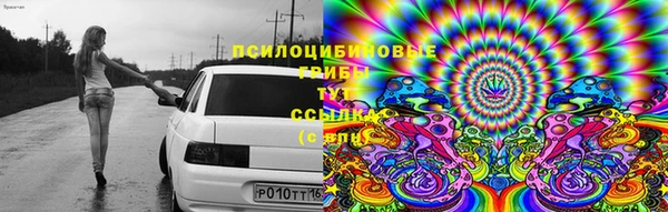 стафф Абинск