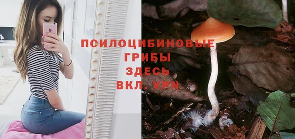 стафф Абинск