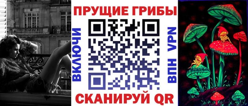 Псилоцибиновые грибы мицелий  купить закладку  Елизово 